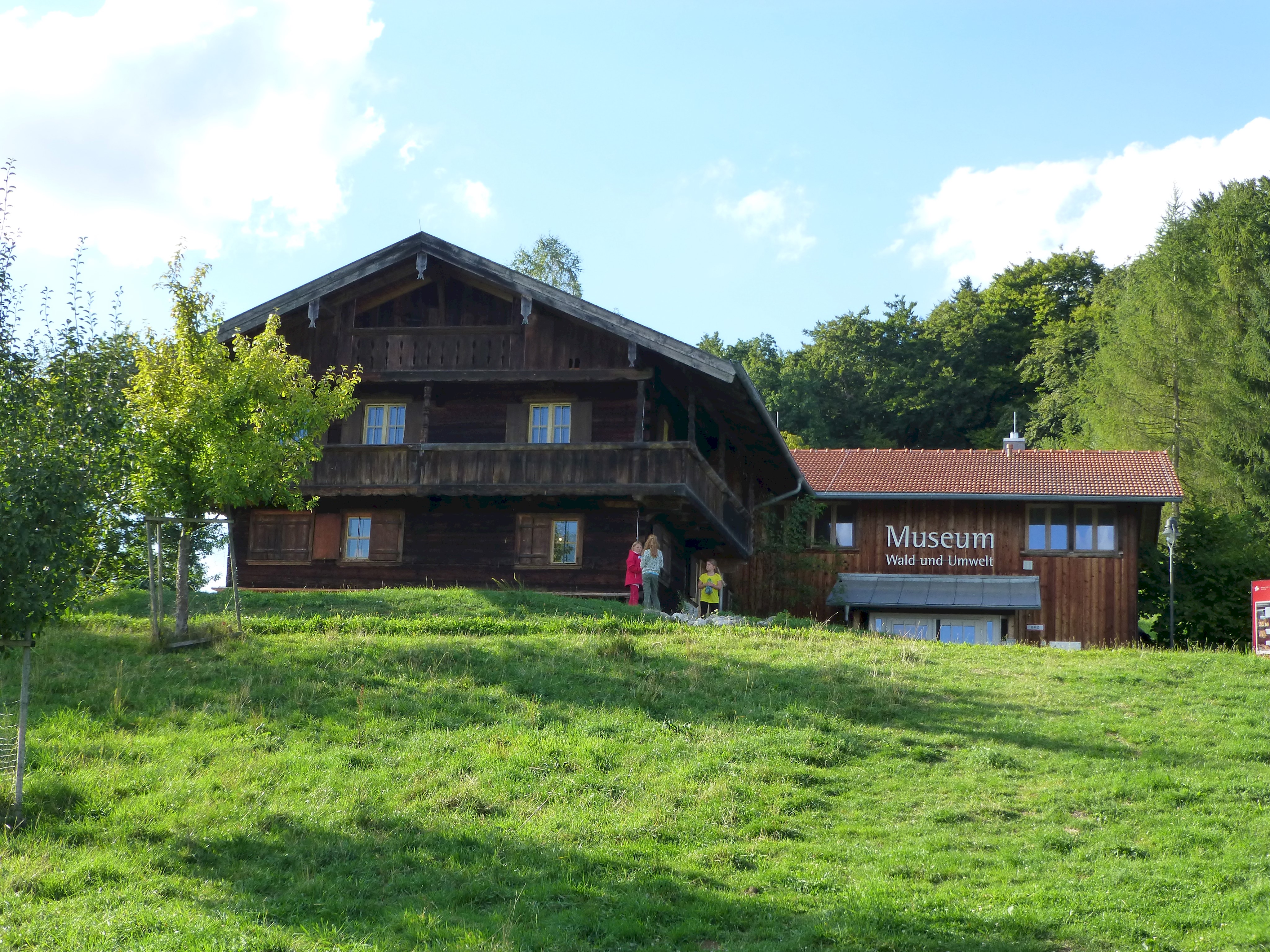 Museum Wald & Umwelt Leider haben wir keinen Alternativtext zu diesem Bild, aber wir arbeiten daran.