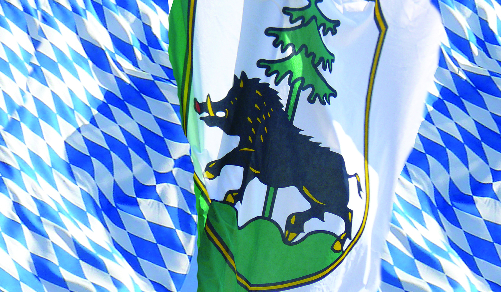 Wappen Rauten