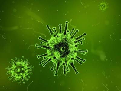 Virus