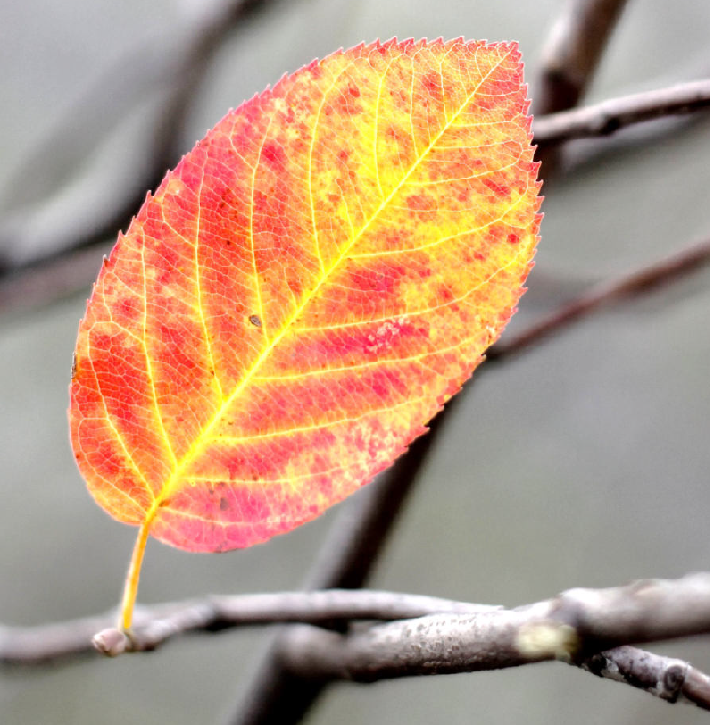 Termine zum (Lebens-)Herbst