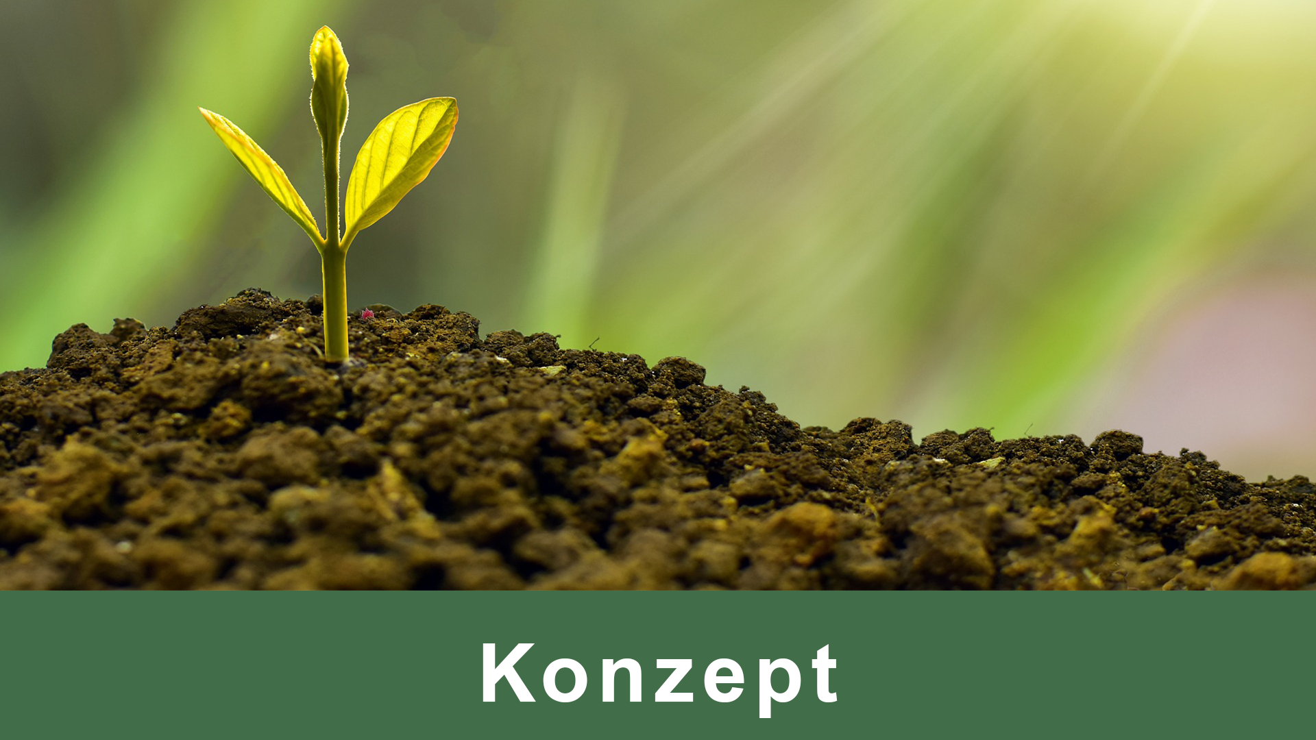 Klima Kachel Konzept