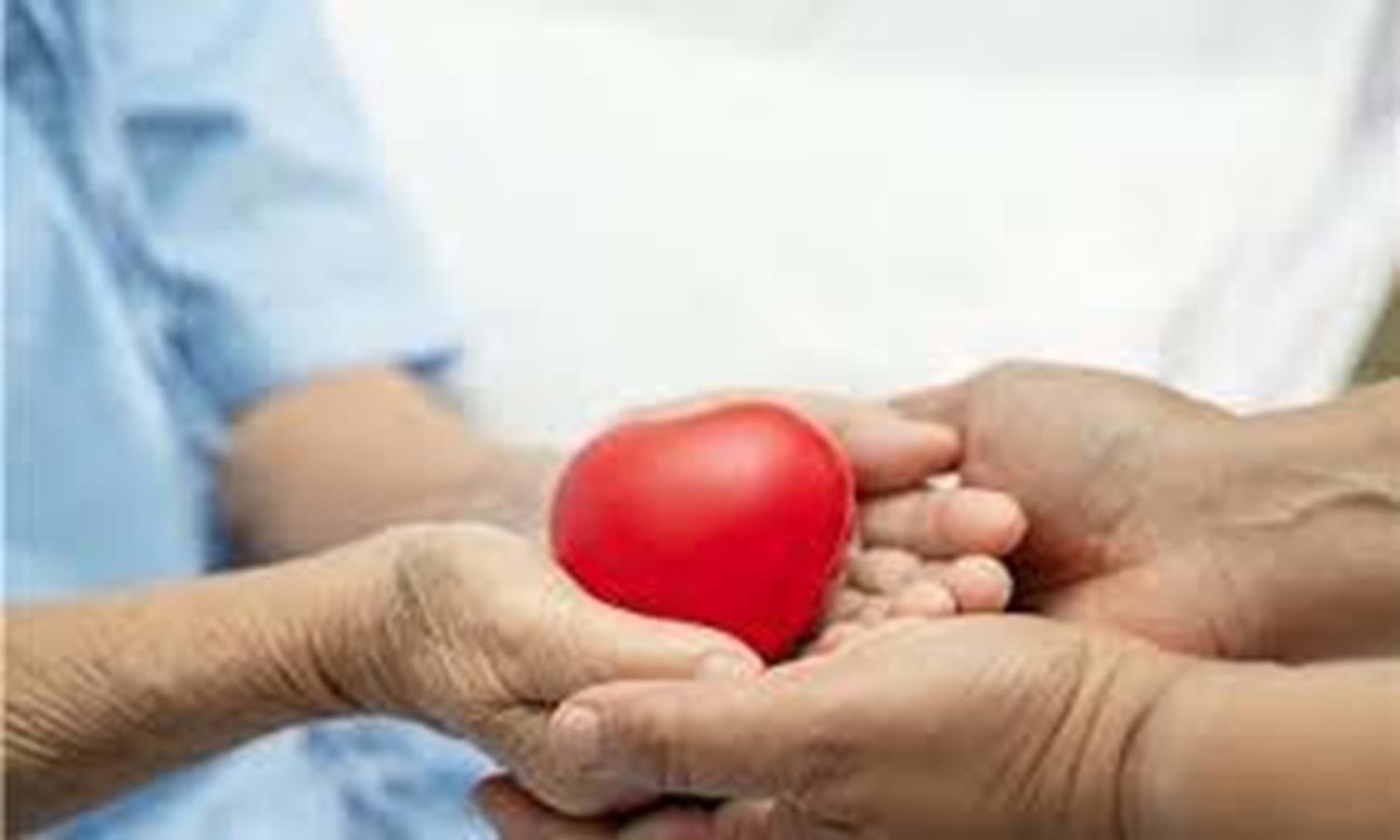 Hospiz Palliativ