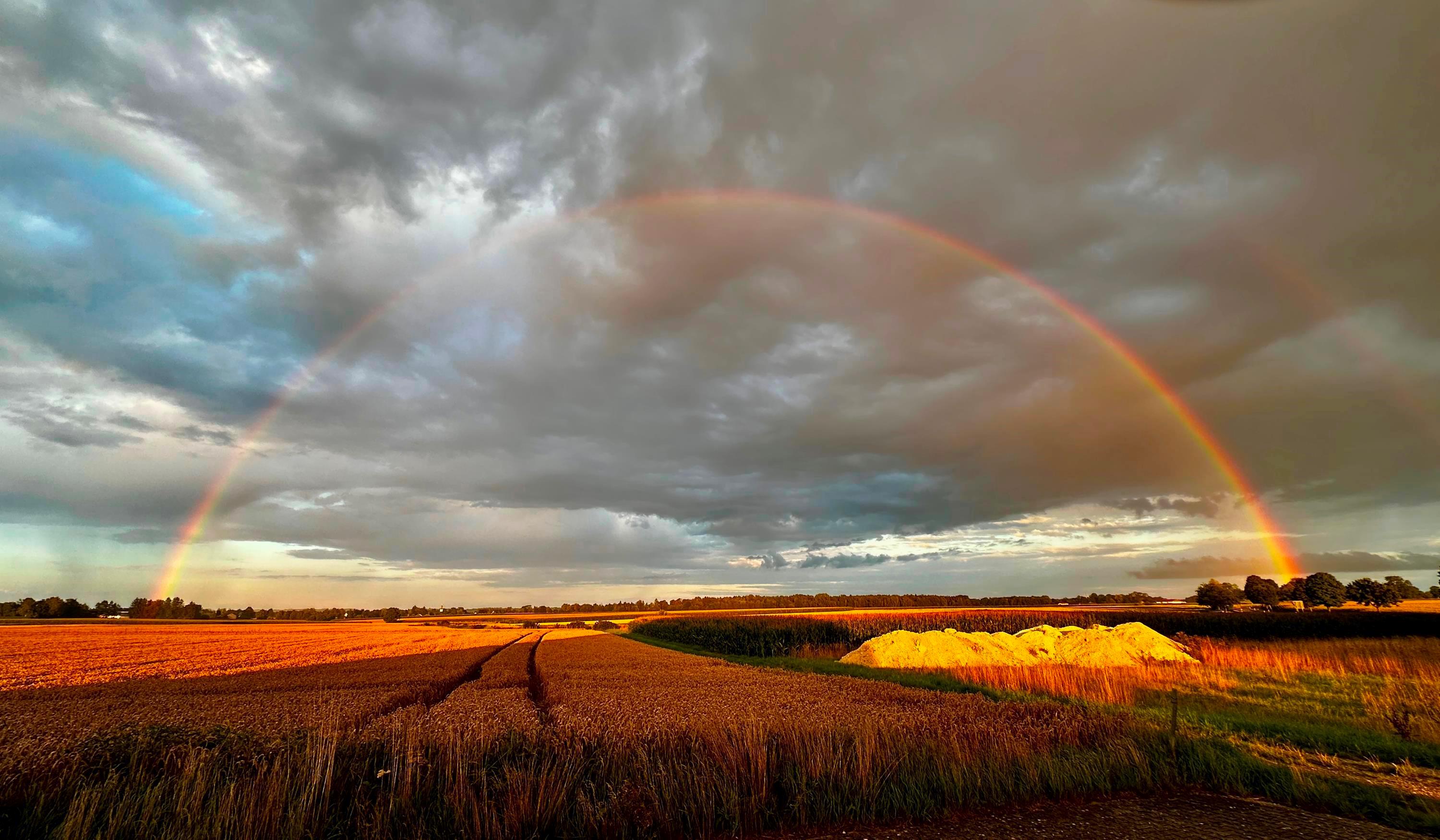 Georg Baumann Georg Baumann