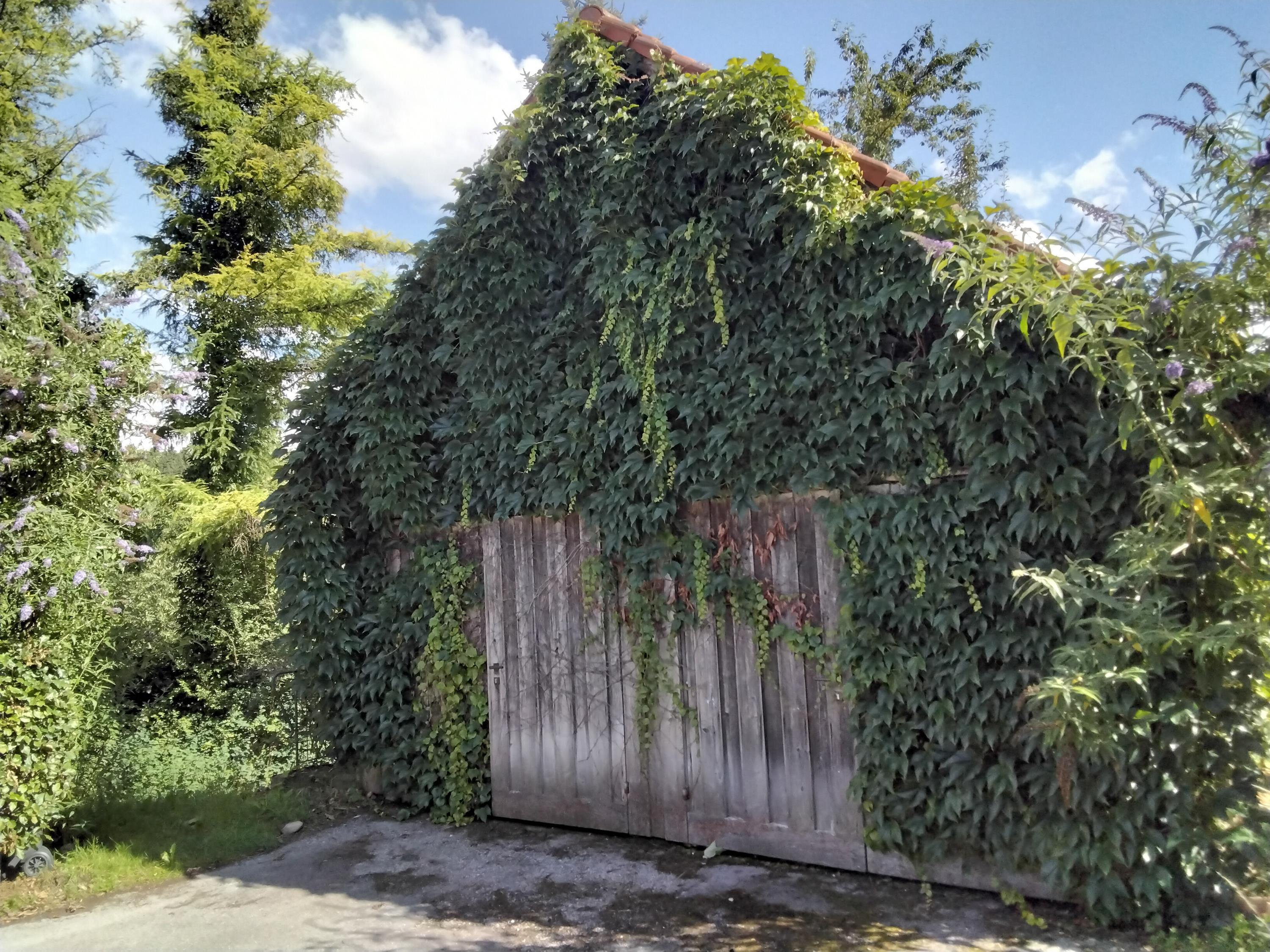 Käte Reimann-Moder Käte Reimann-Moder