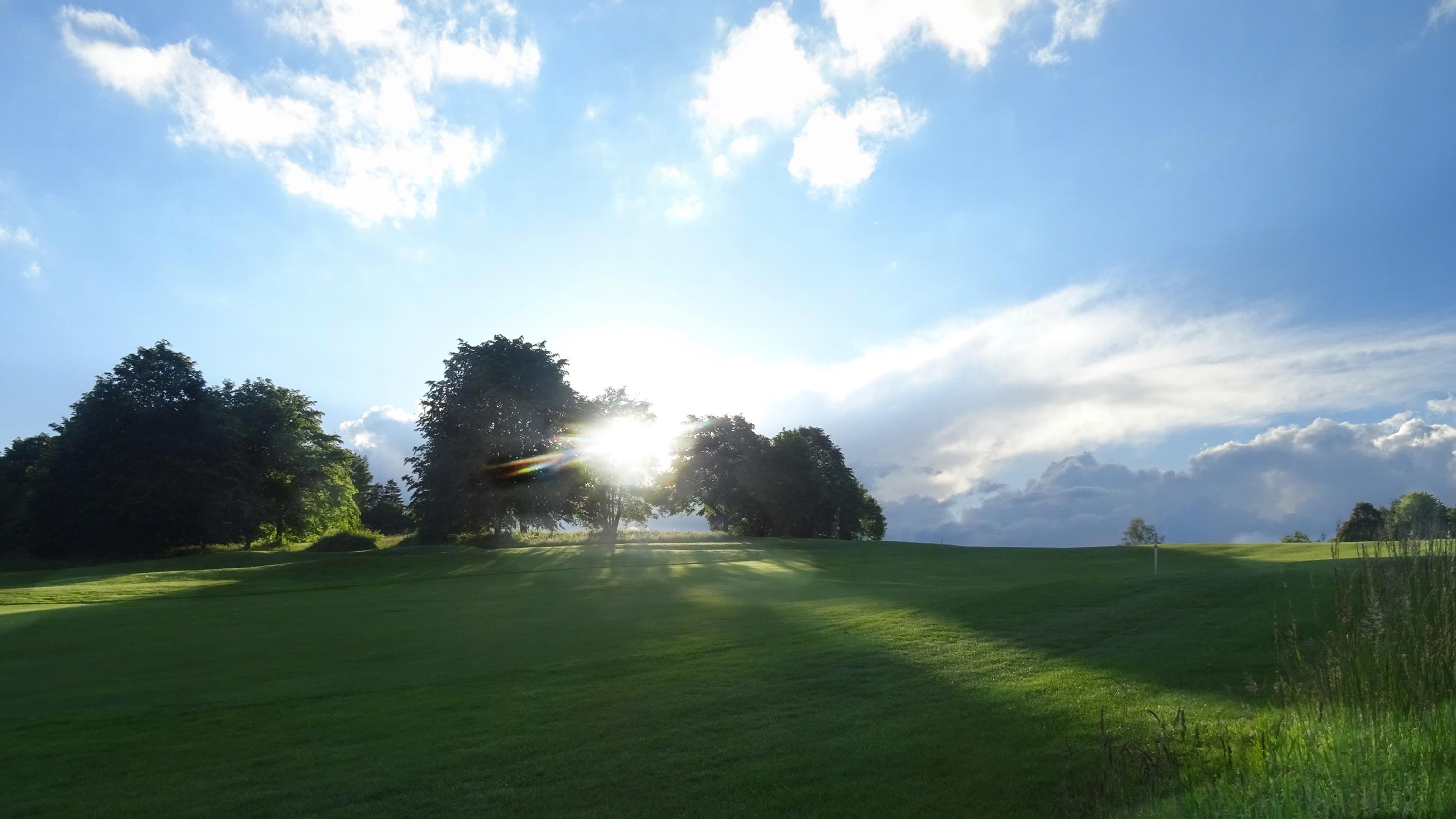 Ulrike Kirschner: Auf dem Golfplatz, Oberelkofen Ulrike Kirschner: Auf dem Golfplatz, Oberelkofen