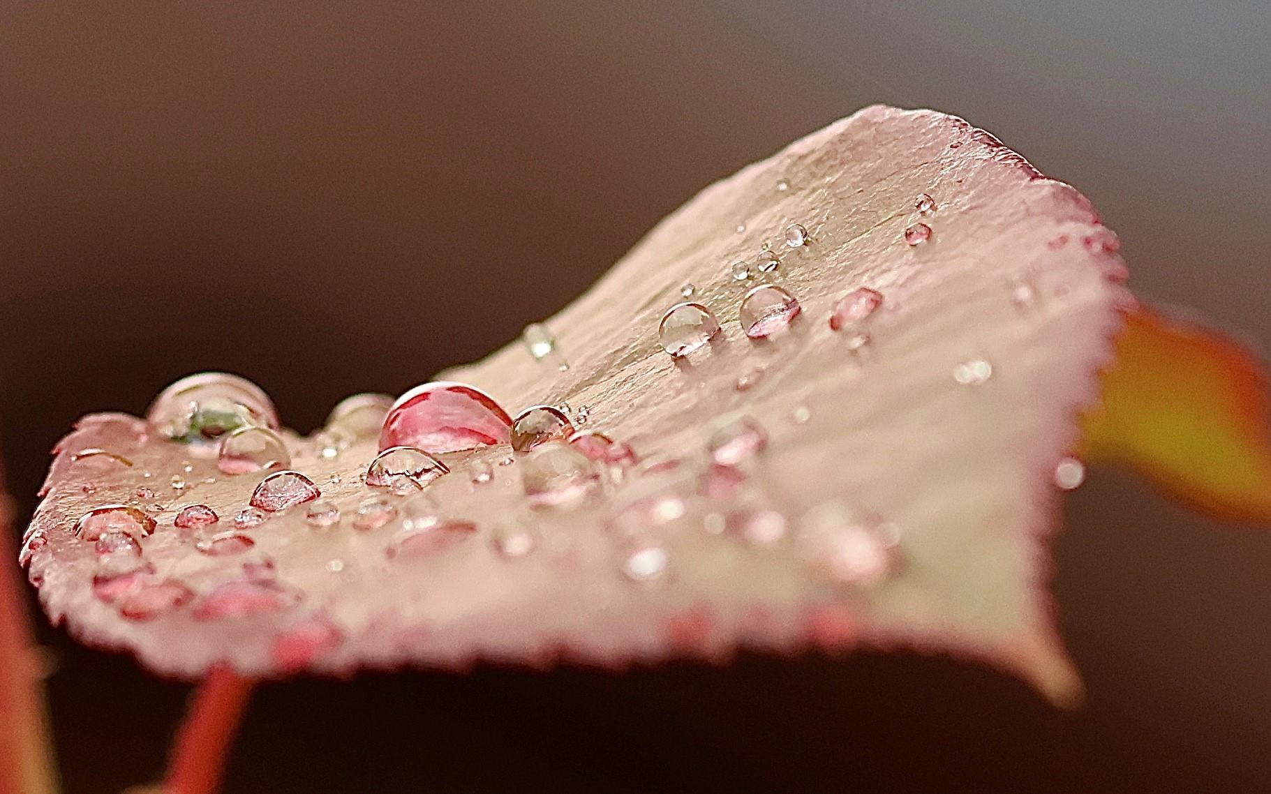 Bettina Hoffmann Bettina Hoffmann