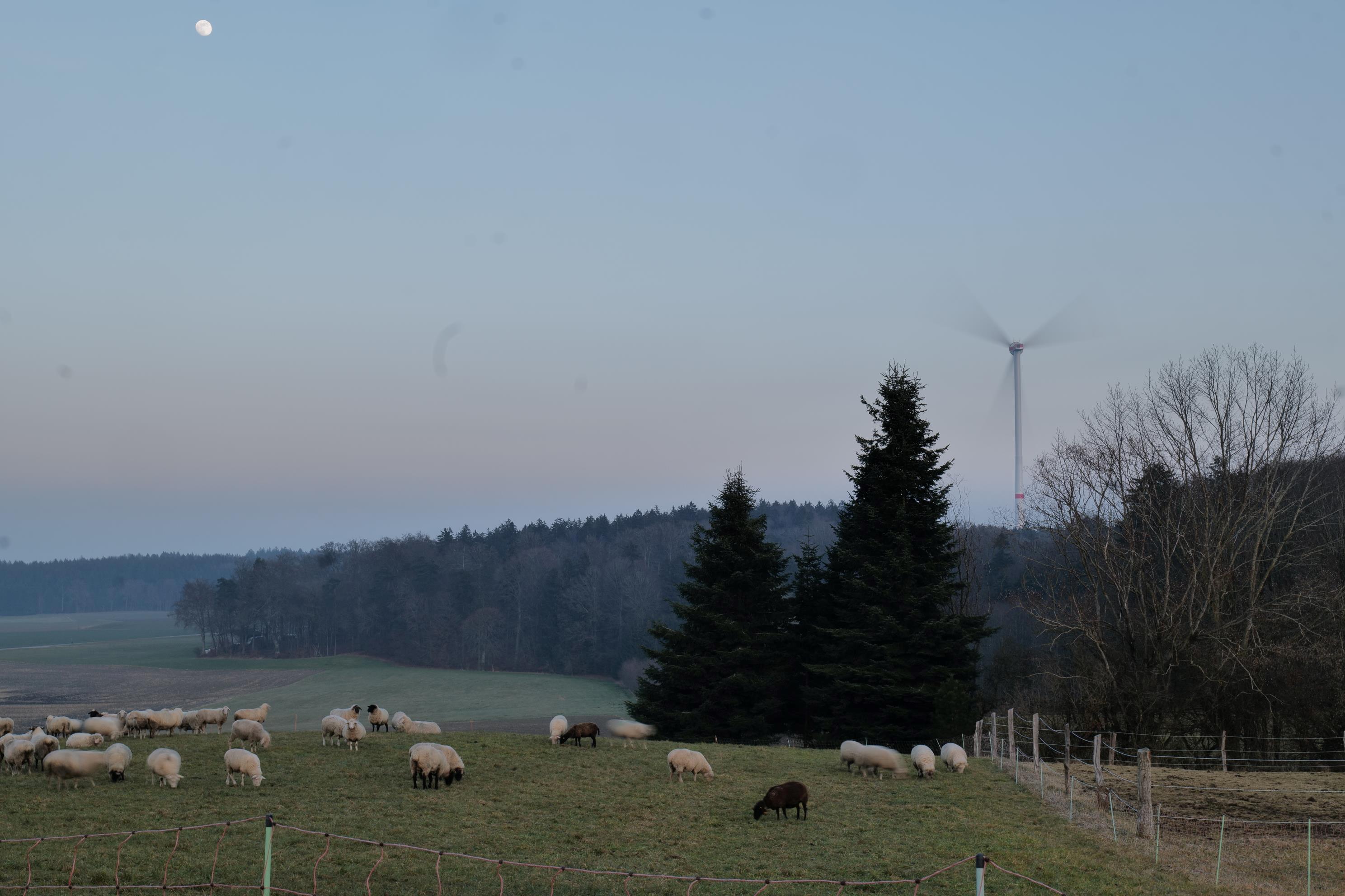 Norbert Neugebauer Norbert Neugebauer