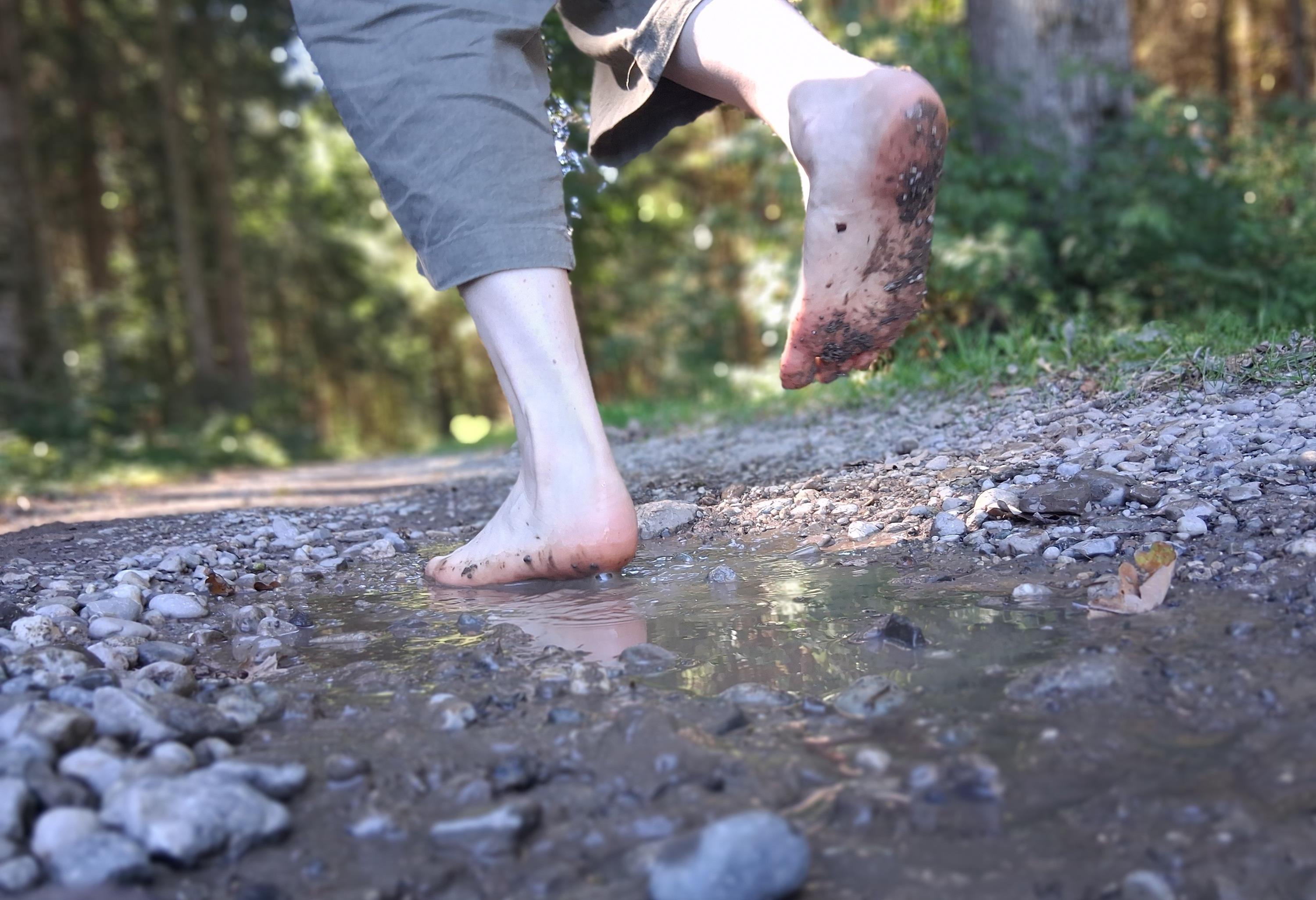 Susanne Schilcher Susanne Schilcher