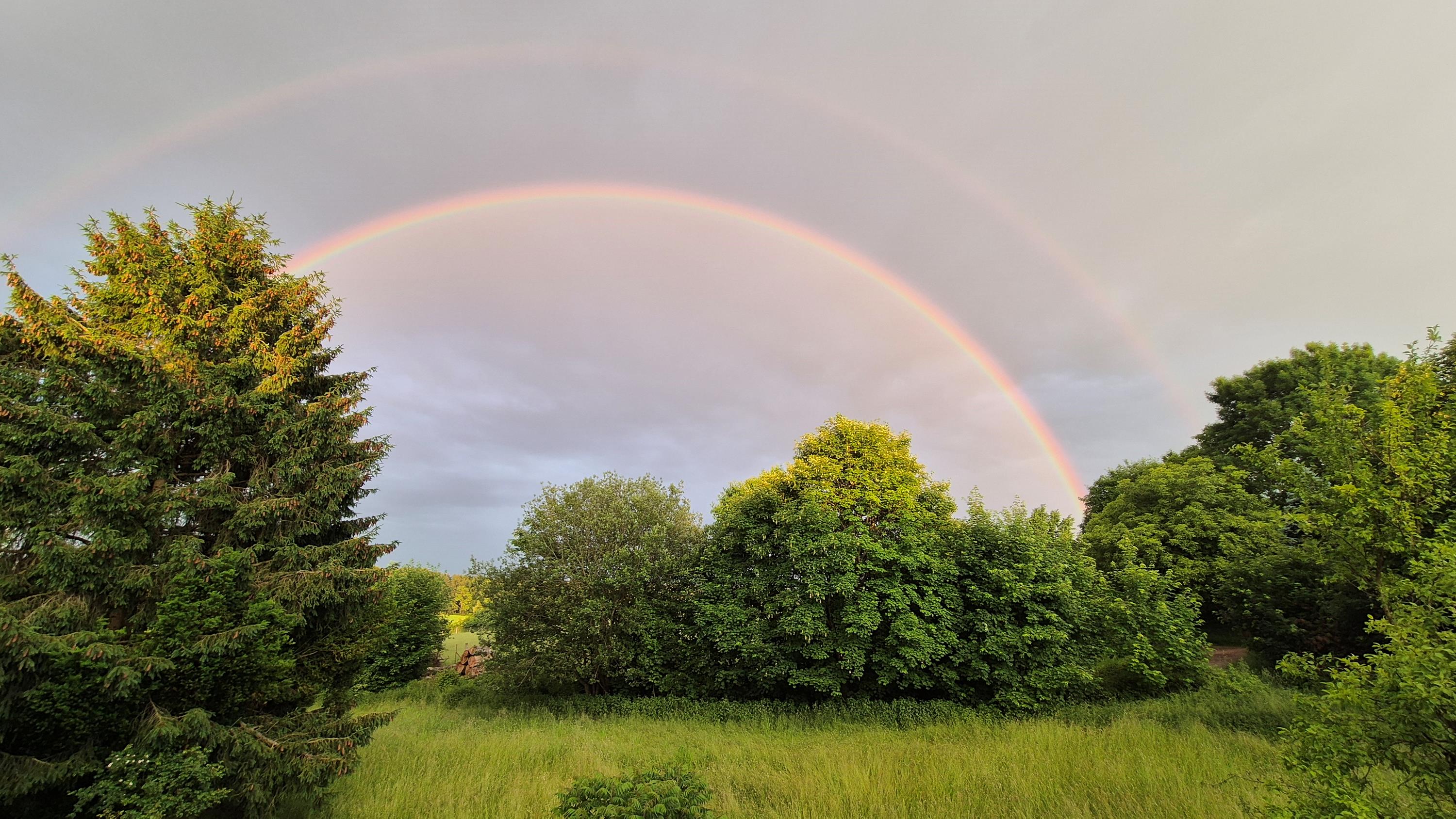 Franziska Schuller Franziska Schuller