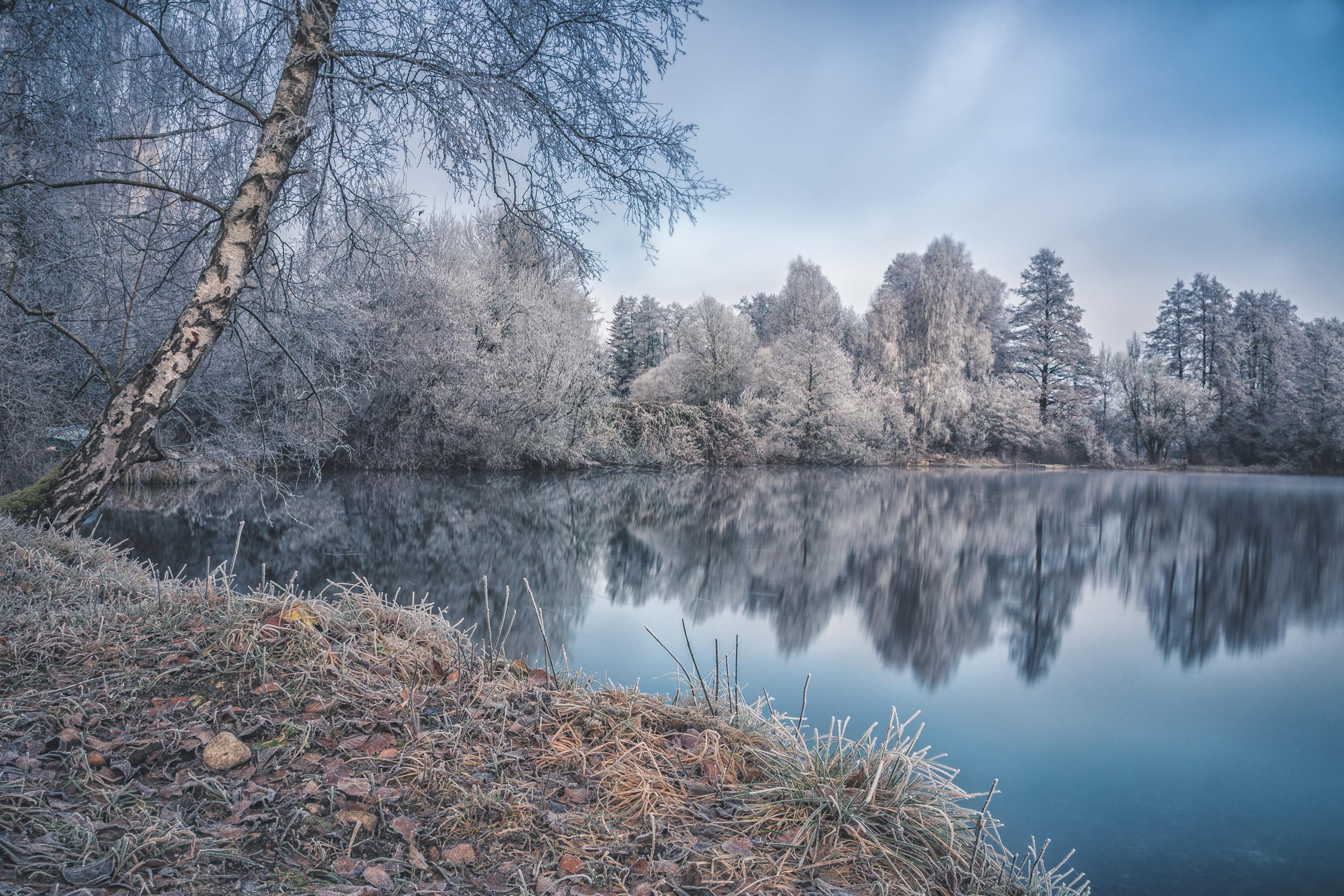 Daniel Wieczorek (1) Daniel Wieczorek (1)