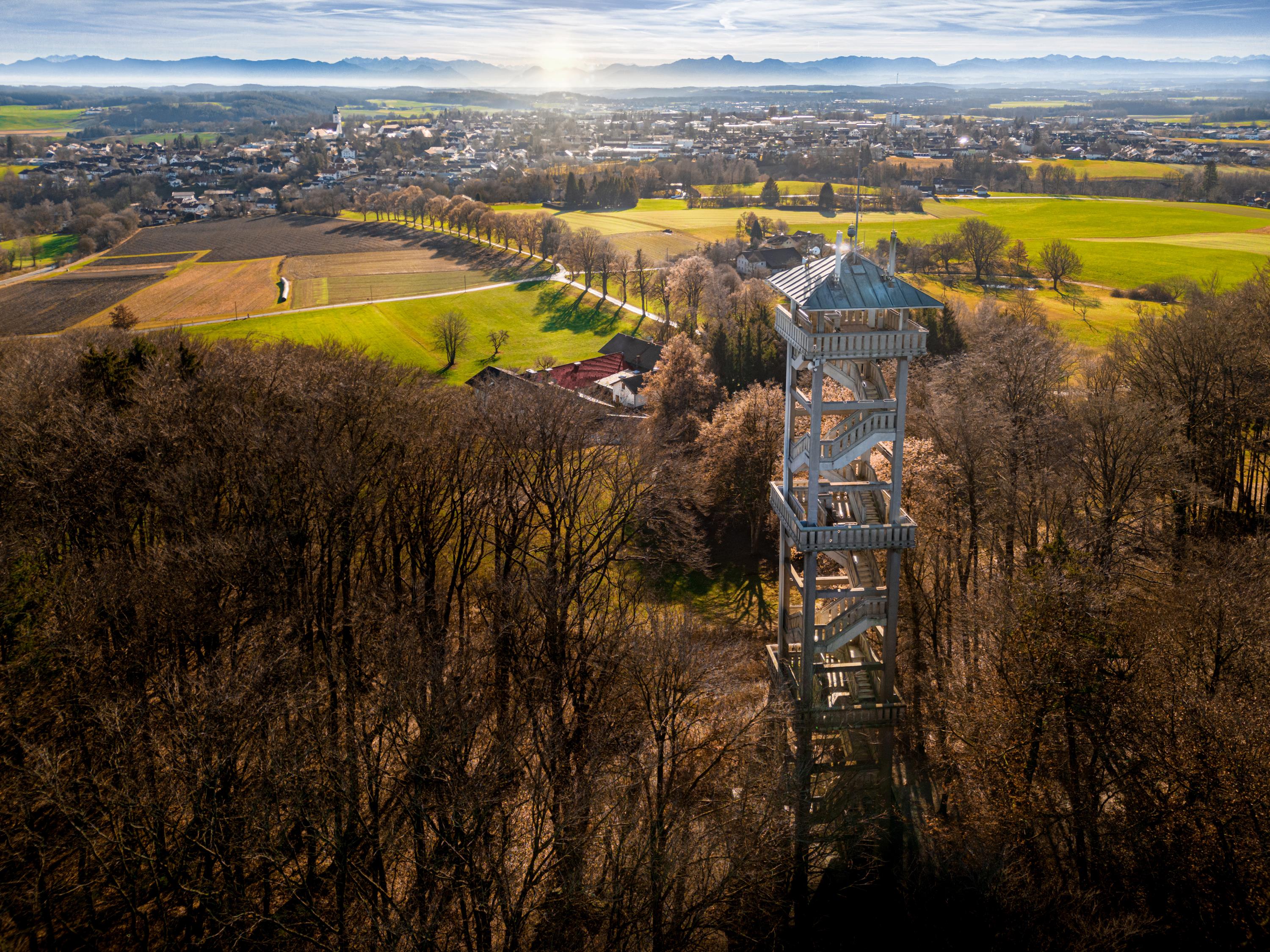 Daniel Wieczorek (2) Daniel Wieczorek (2)