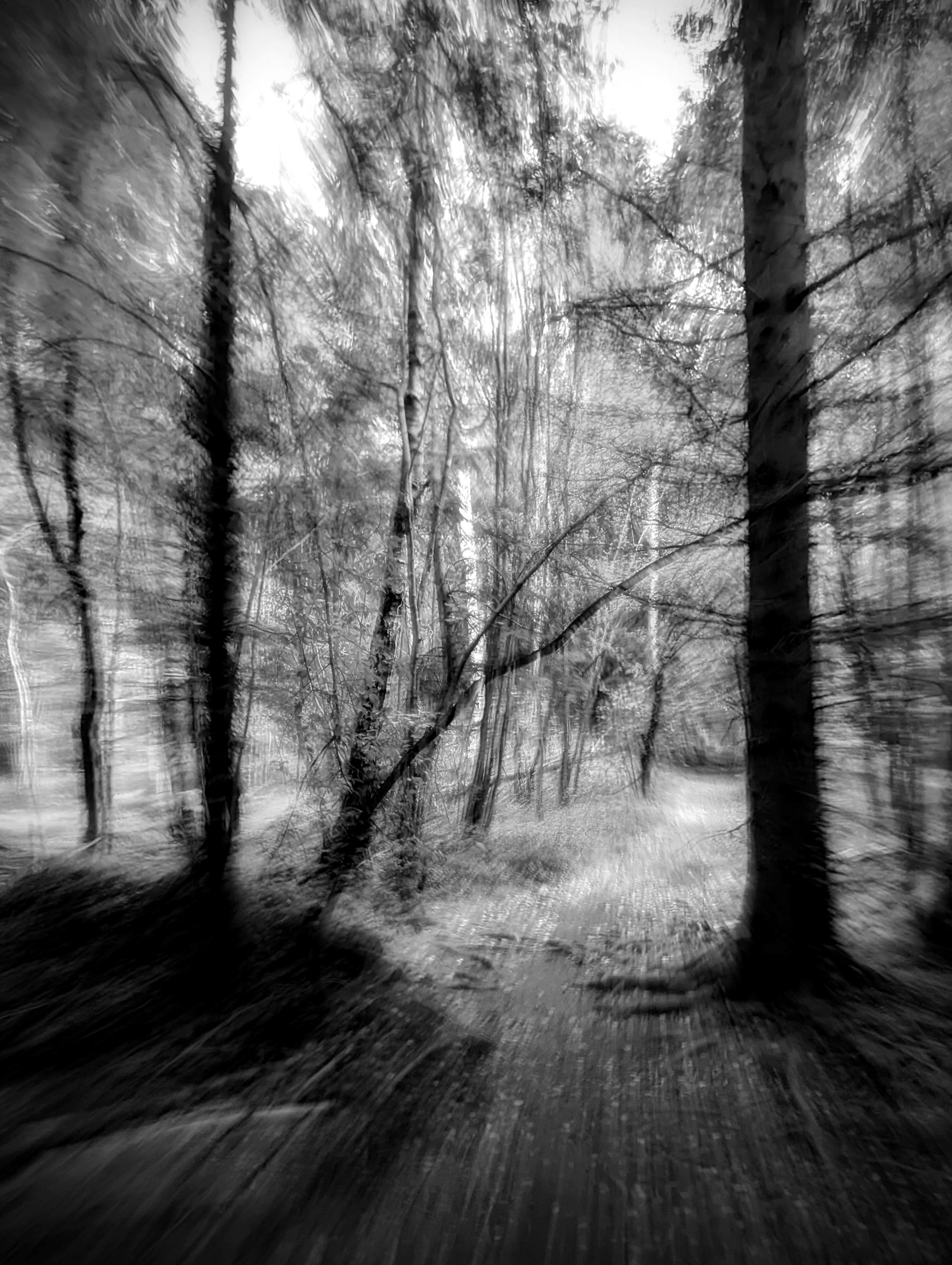 Petra Spanier: Eulenweg Petra Spanier: Eulenweg