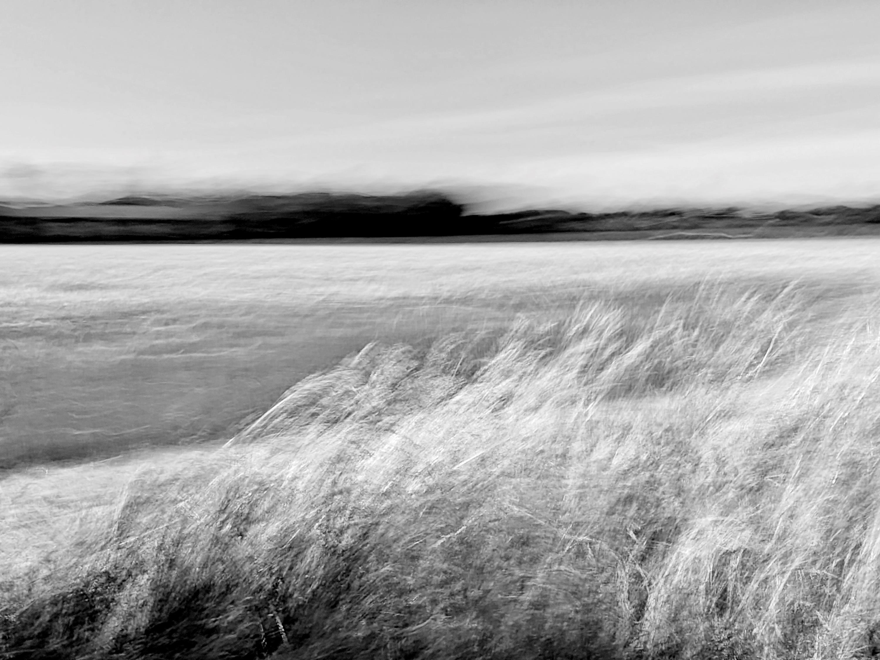 Petra Spanier: Getreideweg Petra Spanier: Getreideweg