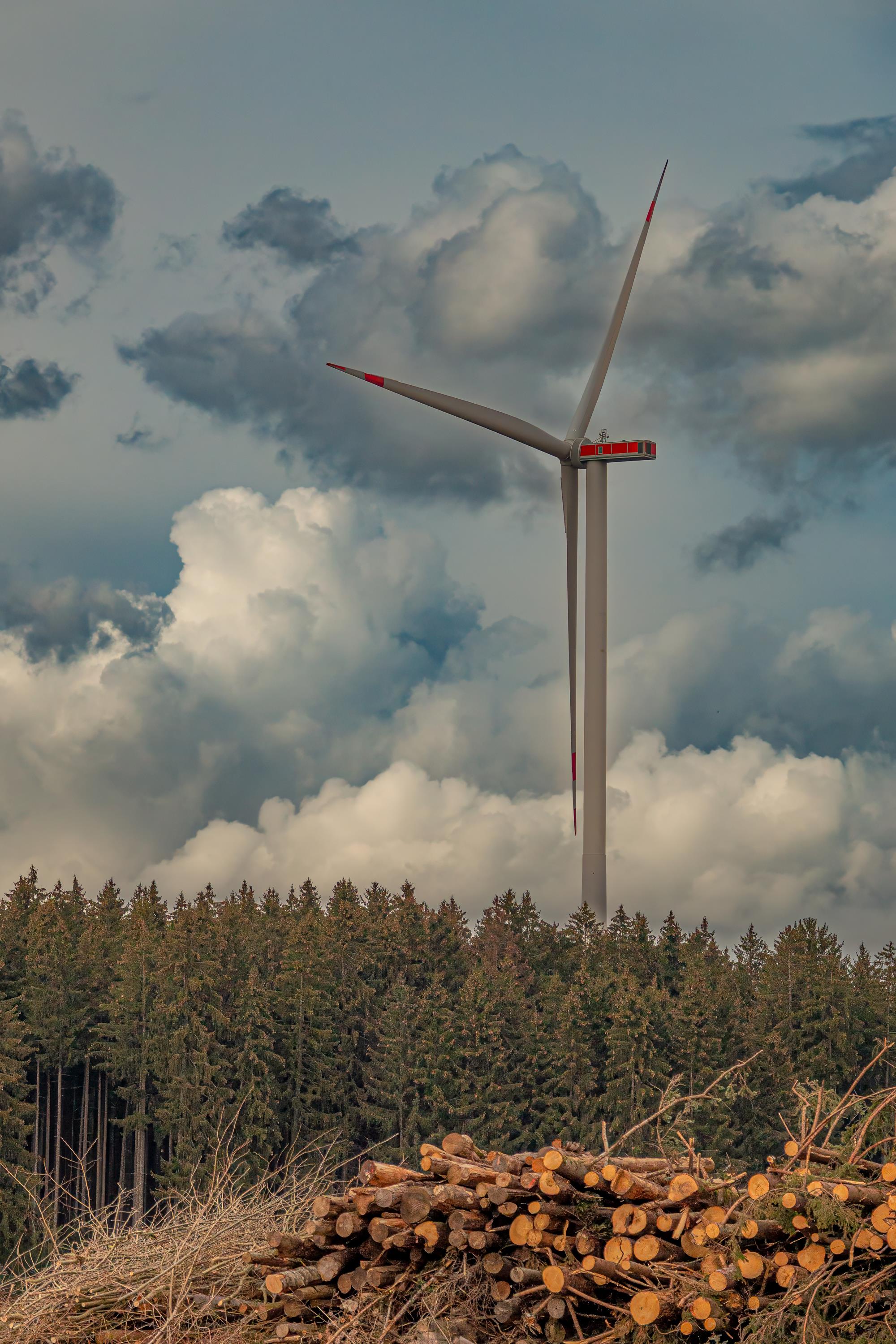 Thilo Bauer Thilo Bauer