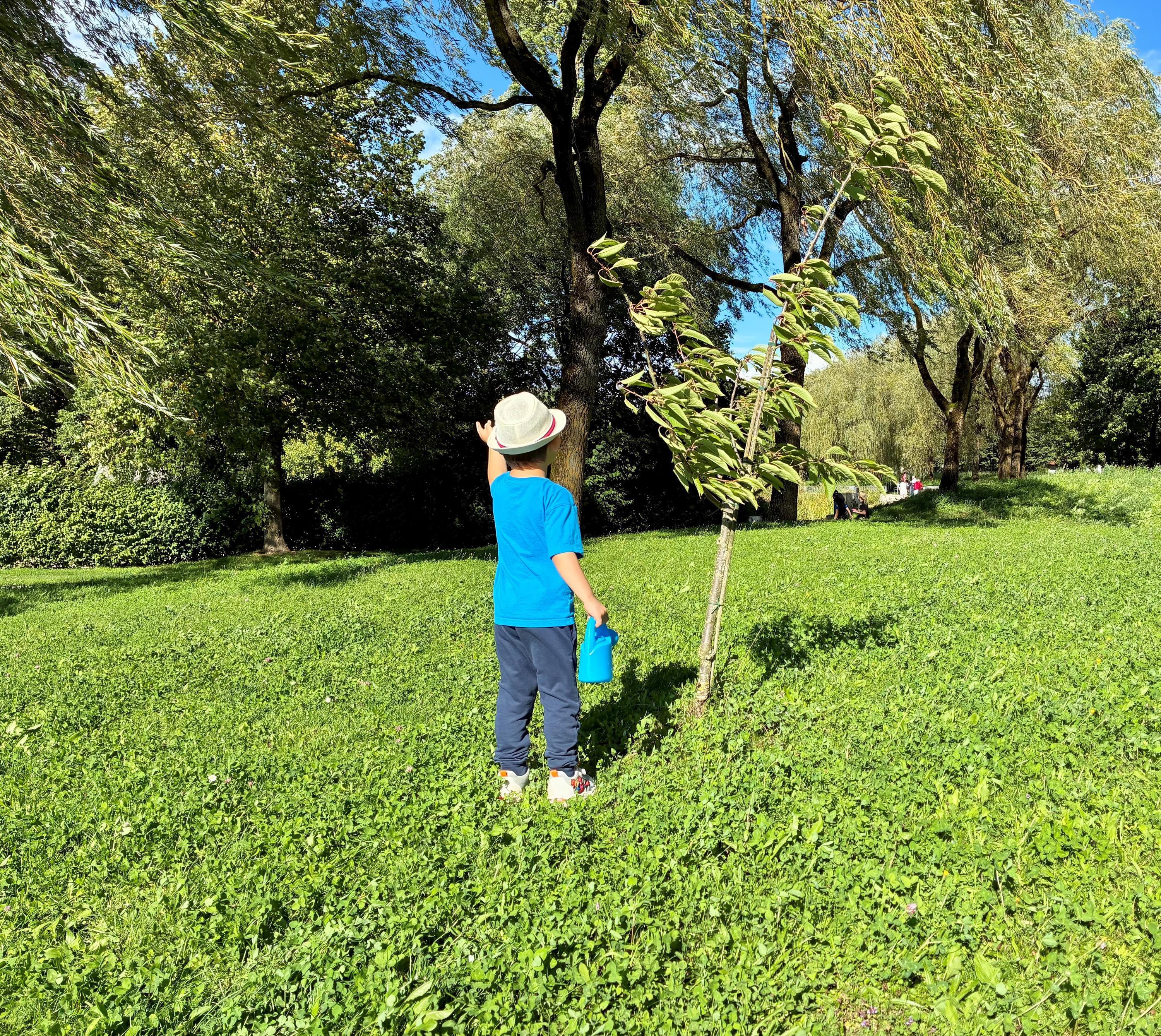 Maximilian Schmied Maximilian Schmied