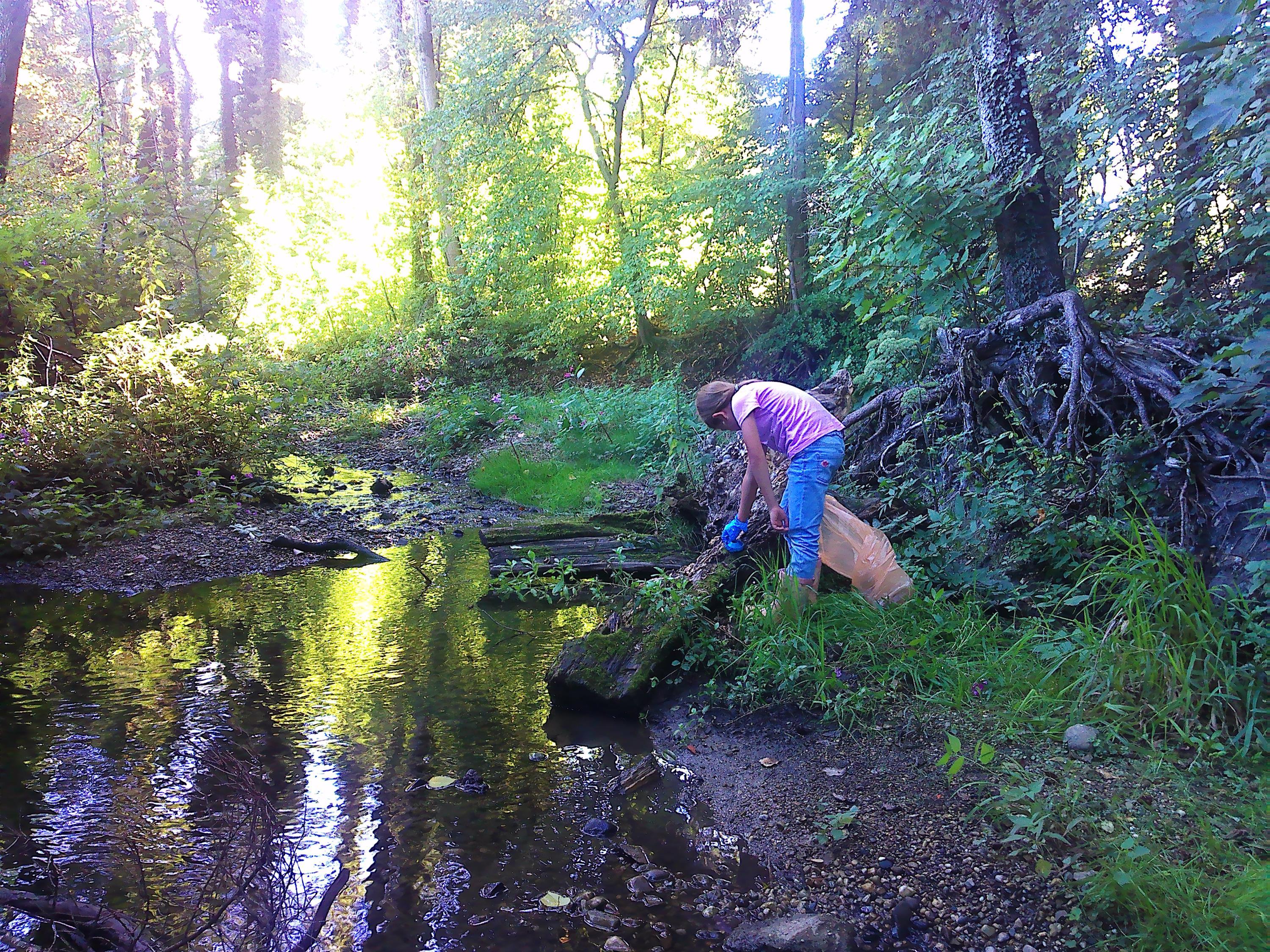 Daniela Wiesner Daniela Wiesner