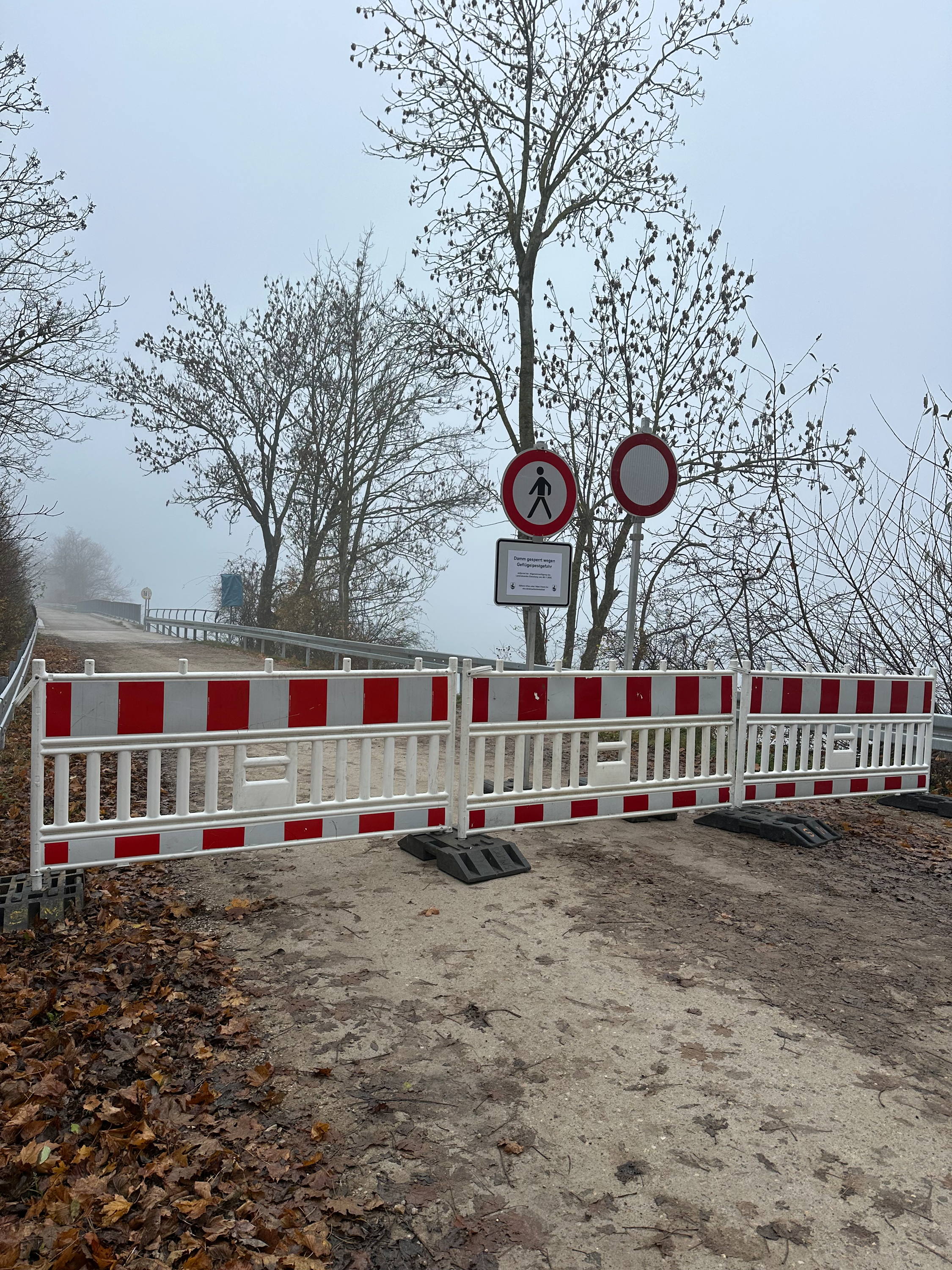 Der Mitteldamm am Speichersee ist wegen Vogelgrippe derzeit gesperrt